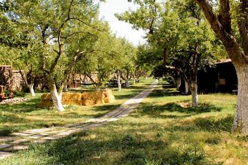 Фото Гостевой дом Garni HinYard г. Гарни 4