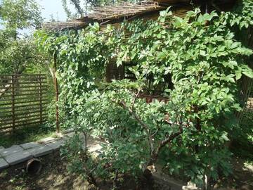 Фото номера Дом с 2 спальнями Виллы Dinadav house г. Гарни 51