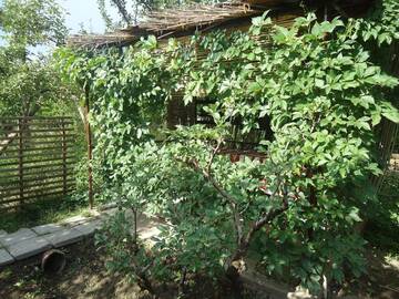 Фото номера Дом с 2 спальнями Виллы Dinadav house г. Гарни 34