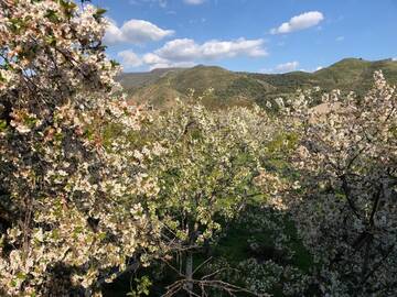 Фото номера Вилла Виллы Garni Nature Villa г. Гарни 53