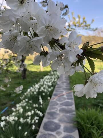 Фото номера Вилла Виллы Garni Nature Villa г. Гарни 31